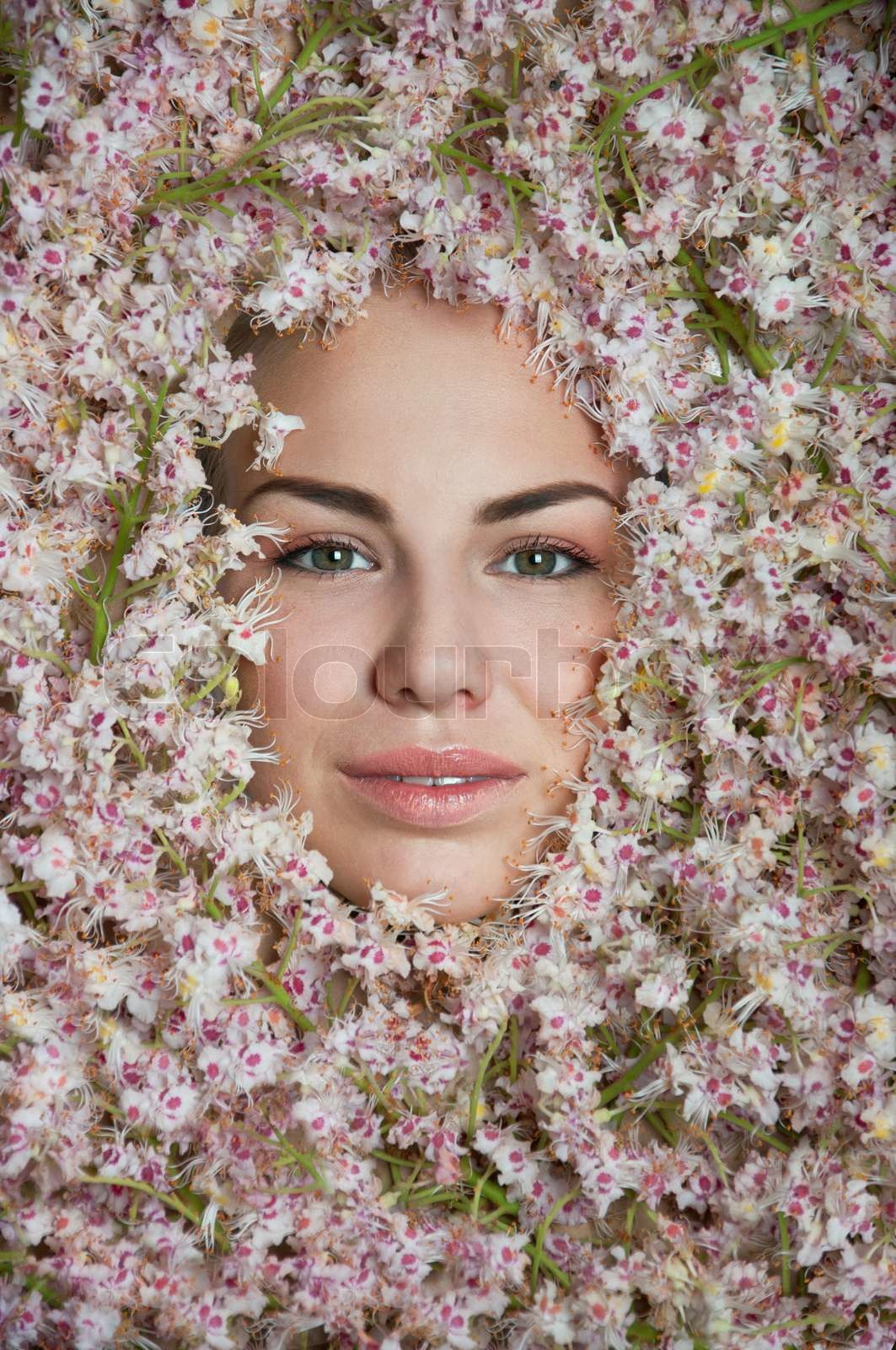 Girl Among Chestnut Flowers Stock Image Colourbox