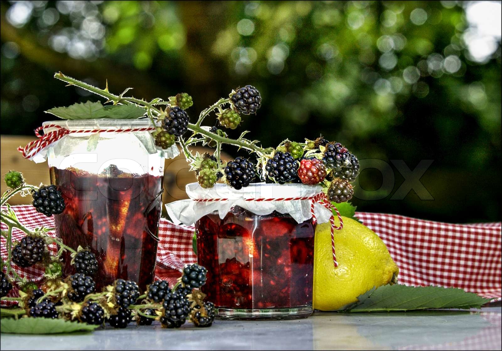 Blackberry Jam Stock Image Colourbox