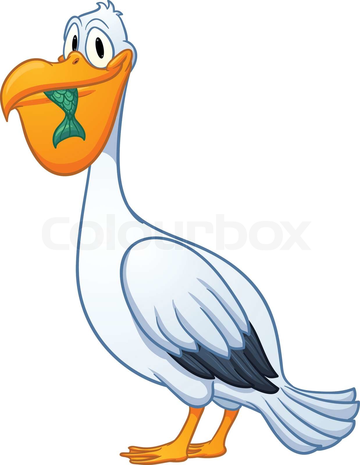 Will Eating Pelican Make You Sick? Experts Reveal All - 1nvvg4e