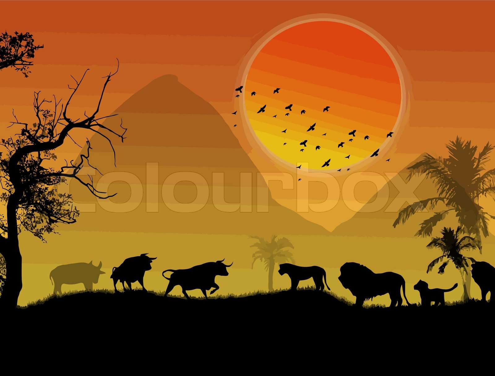 Wild Animals Stock Vector Colourbox