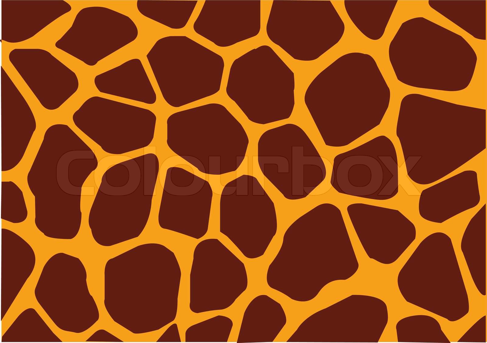 giraf mønster | Stock vektor | Colourbox