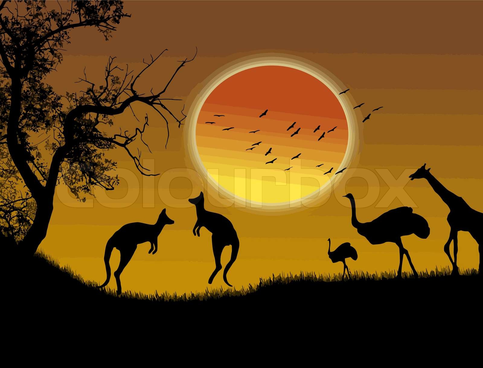 Wild Animals Stock Vector Colourbox