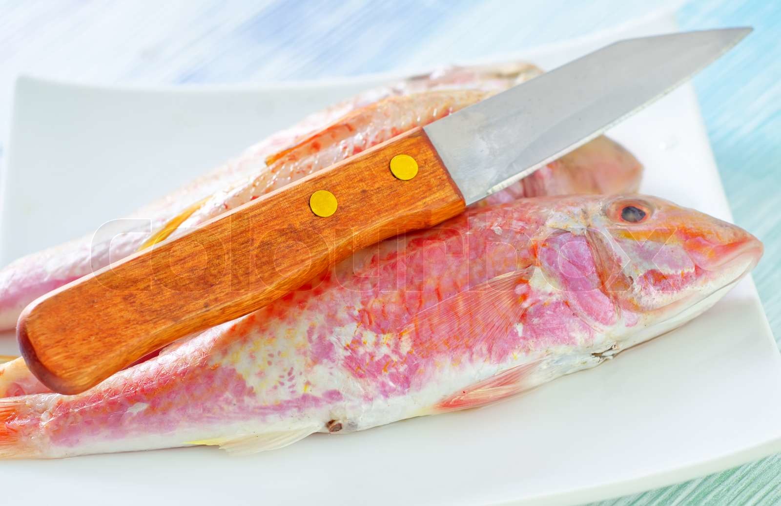 raw fish | Stock image | Colourbox