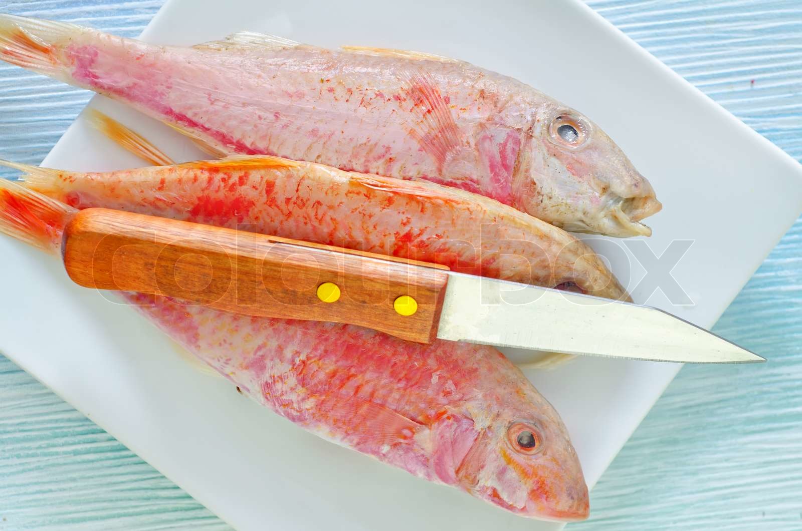 raw fish | Stock image | Colourbox
