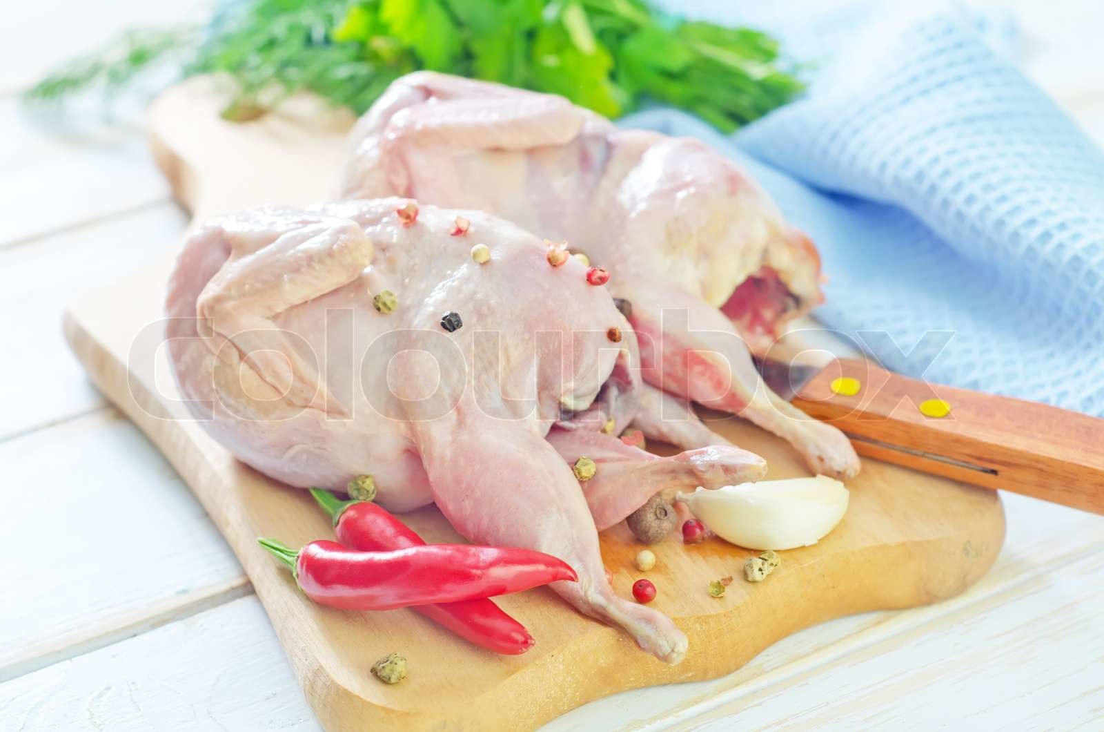raw quail Stock image Colourbox