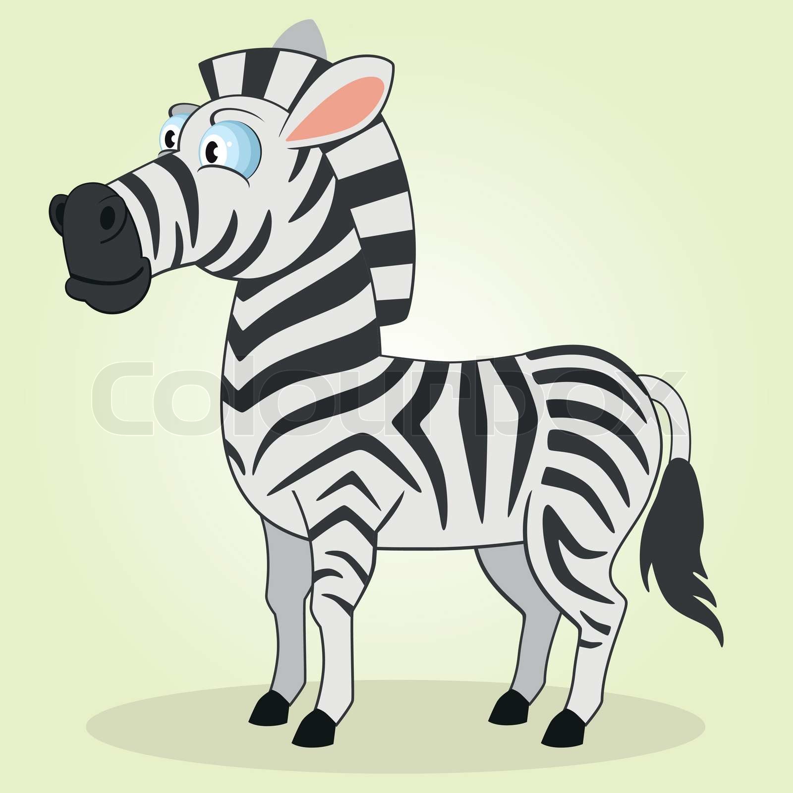 Zebra | Stock vektor | Colourbox
