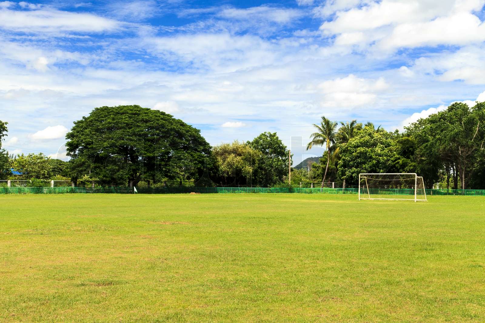 fodboldbane Stock foto Colourbox