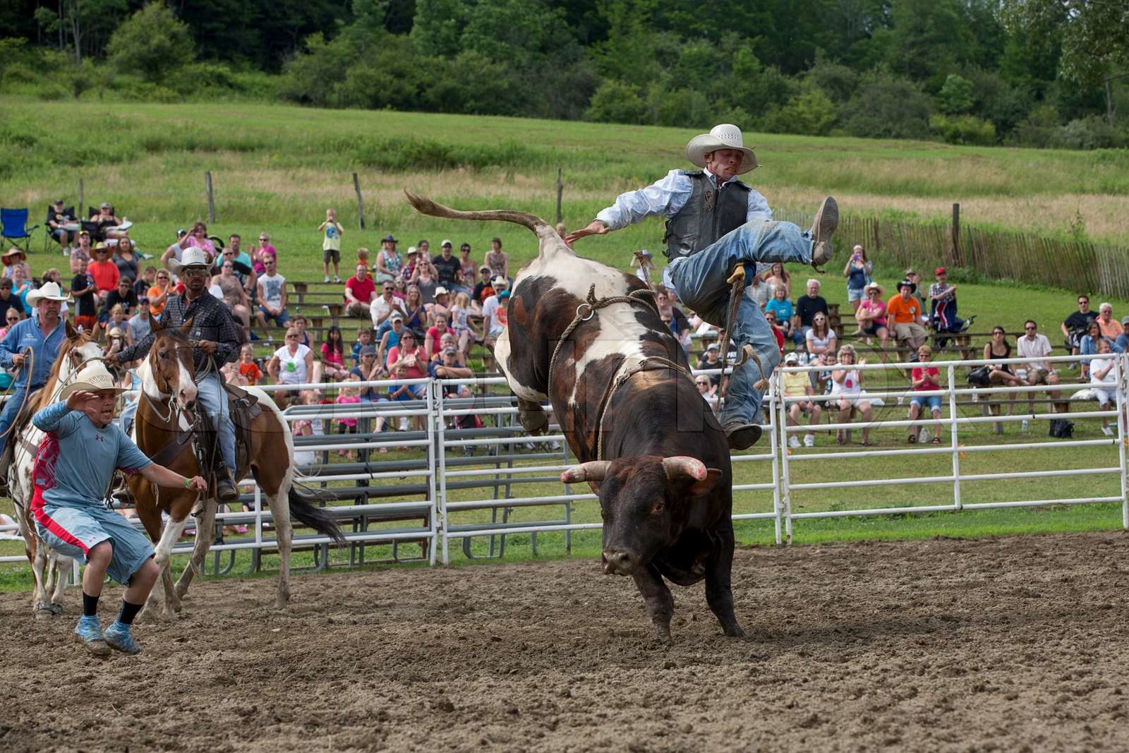 Ellicottville, NY July 7 A cowboy rides a bucking bull in the bull