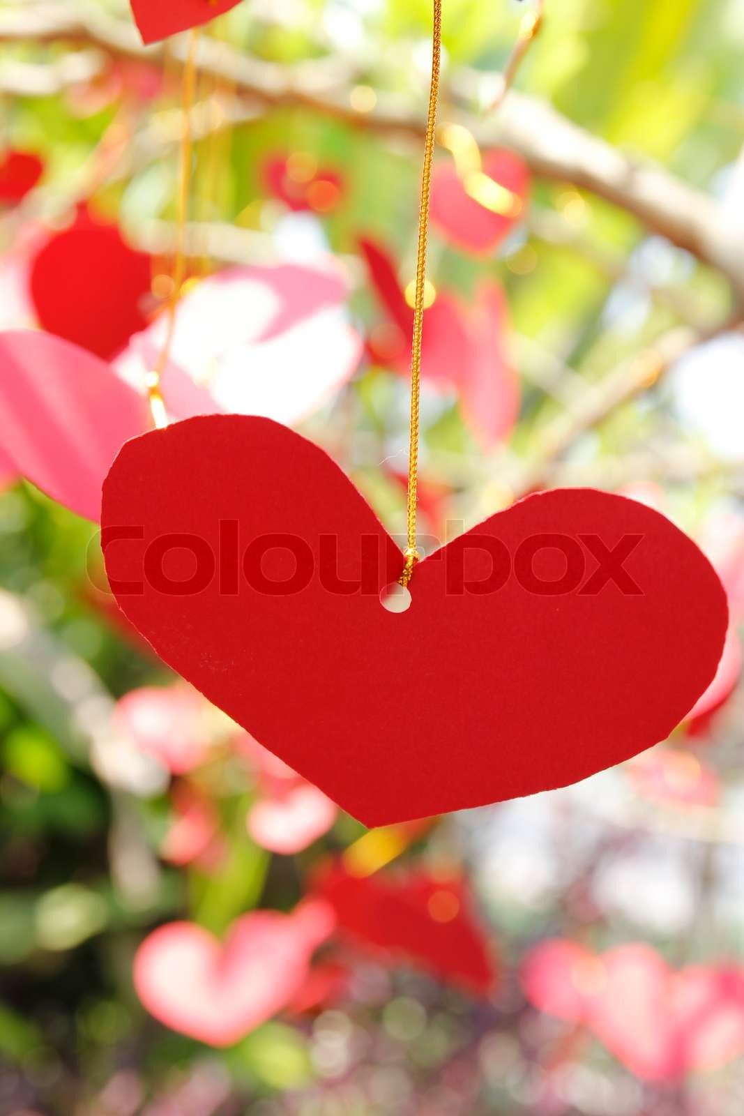 Rødt papir hjerter på træet | Stock foto | Colourbox