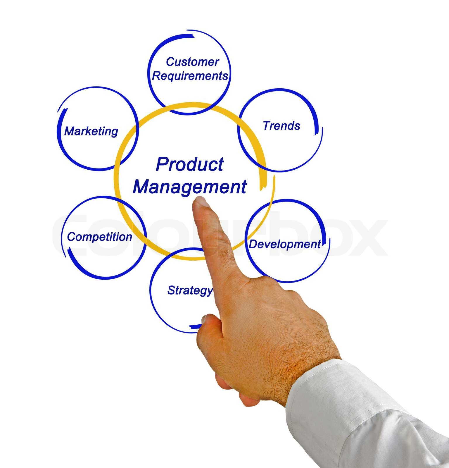 Product Management Stock Image Colourbox
