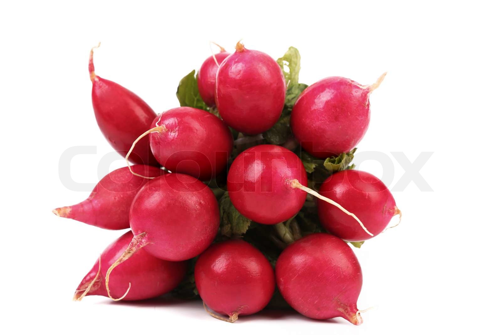 kleine Garten-Rettich | Stock Bild | Colourbox