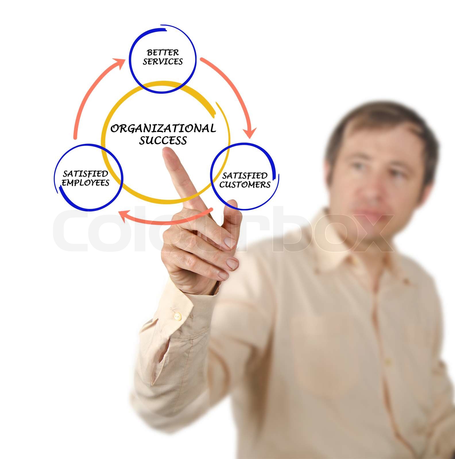 Management diagram | Stock image | Colourbox