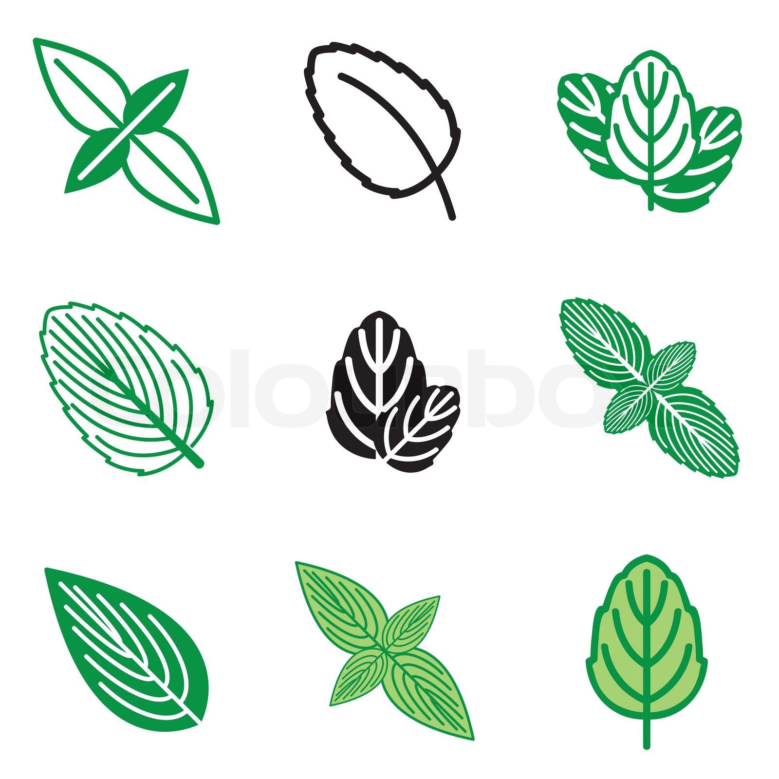 mint leaf icons set Stock vector Colourbox