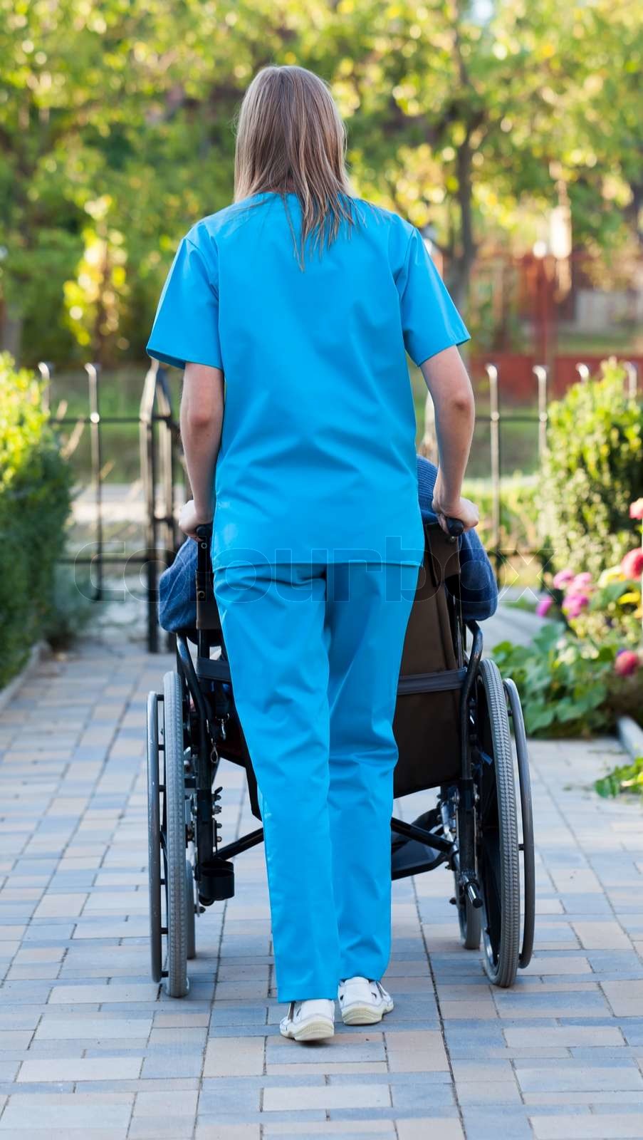 Pushing the patient in wheelchair Stock image Colourbox