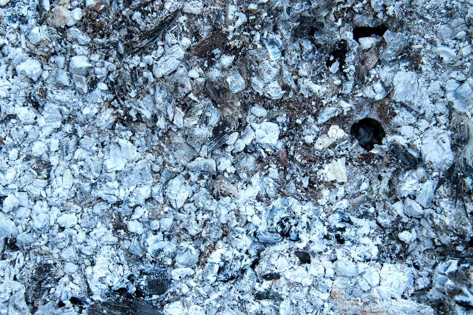 ash | Stock image | Colourbox