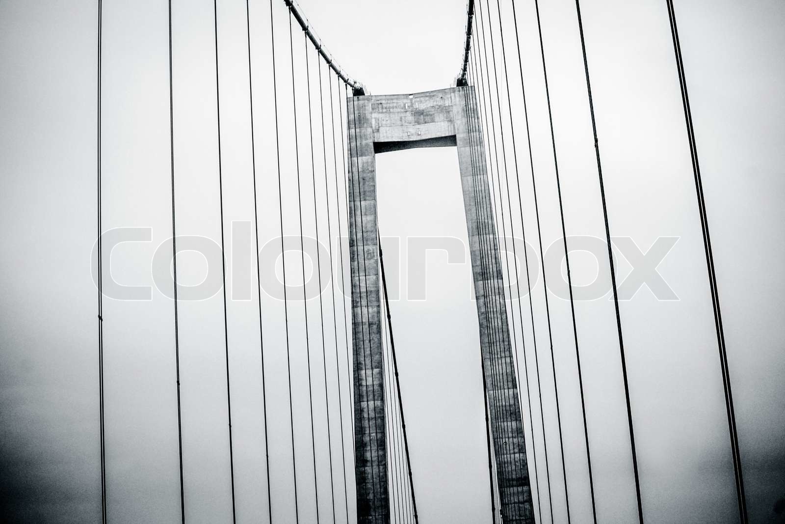Bridge in black and white | Stock image | Colourbox