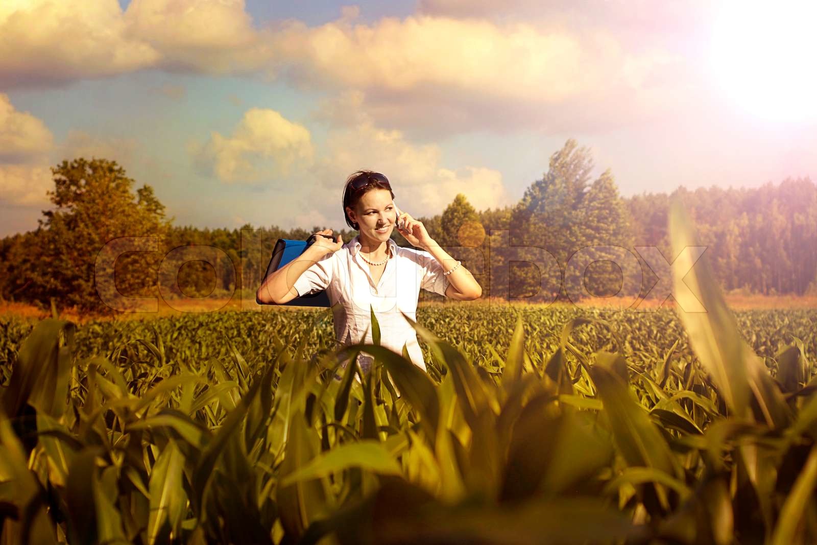 schöne Frau ruht | Stock Bild | Colourbox