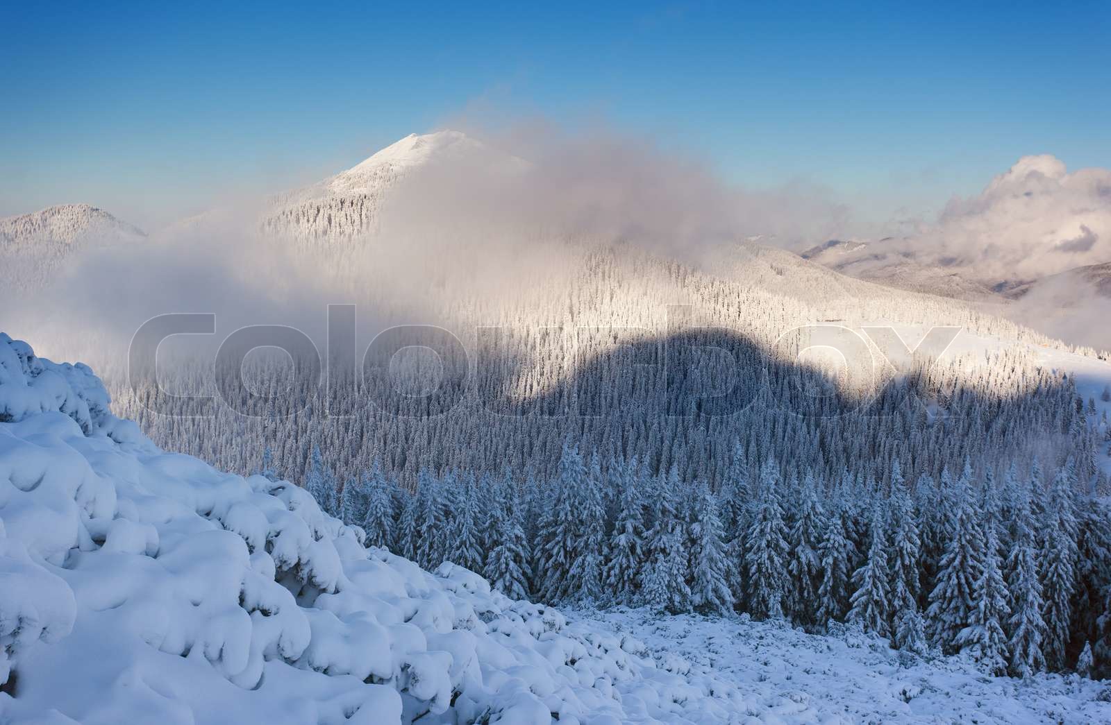 vinter Stock foto Colourbox
