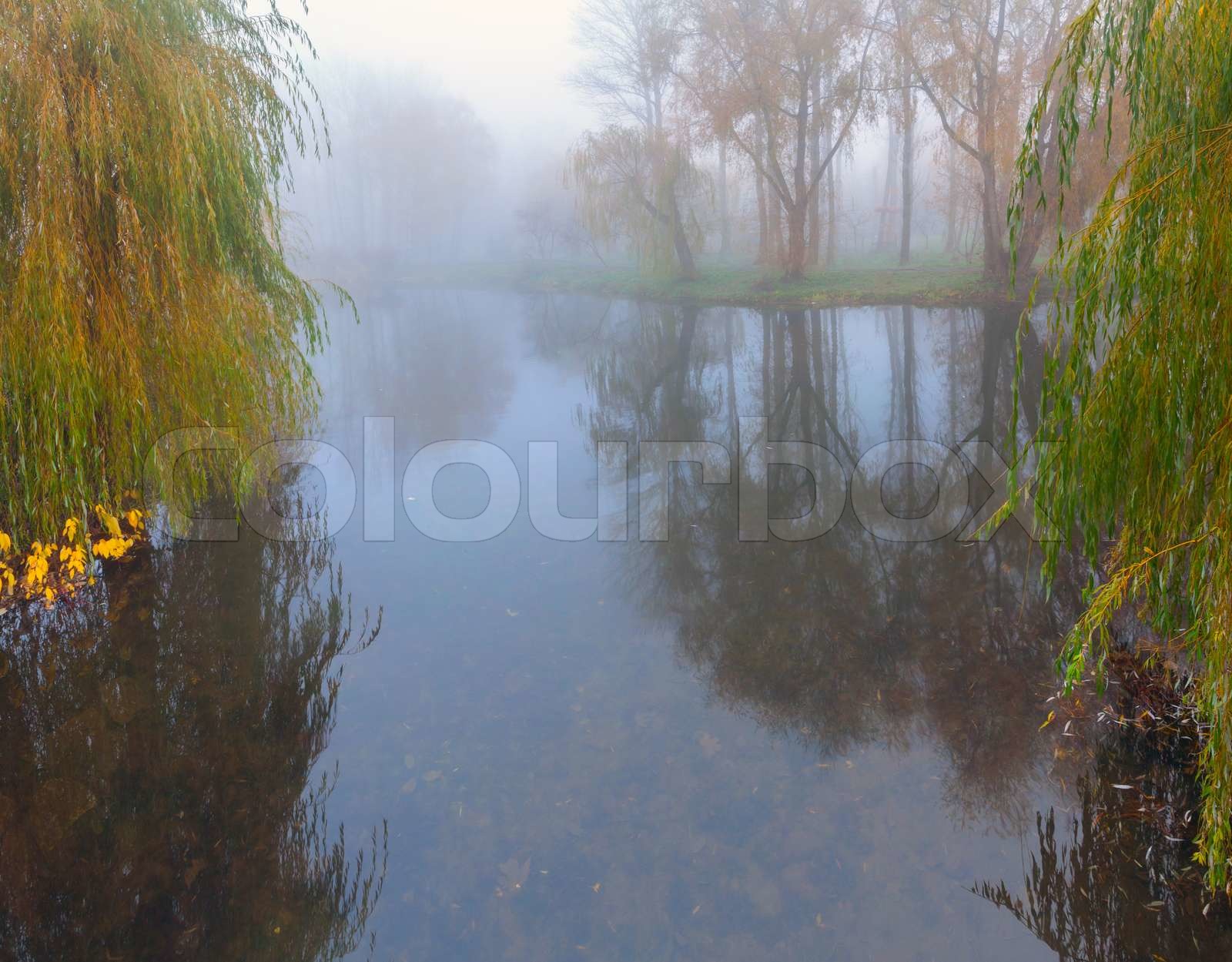 Teich in der HerbstPark Stock Bild Colourbox