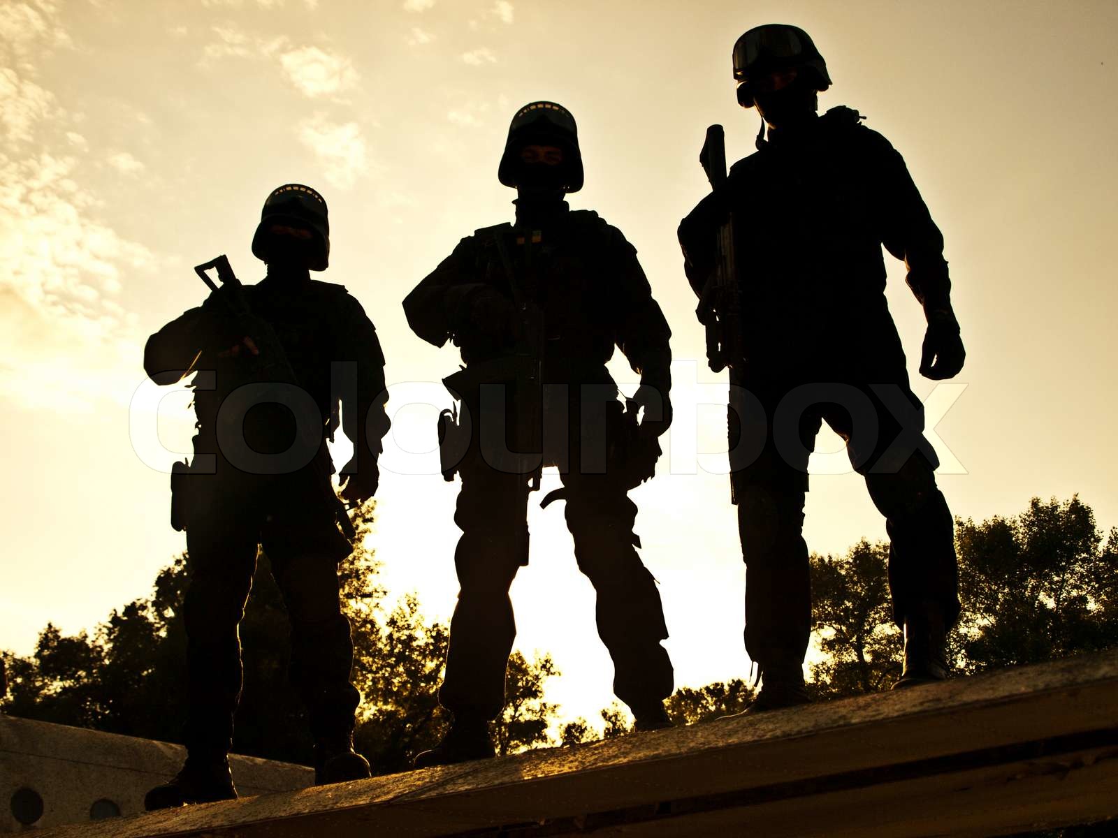 SWAT | Stock Bild | Colourbox