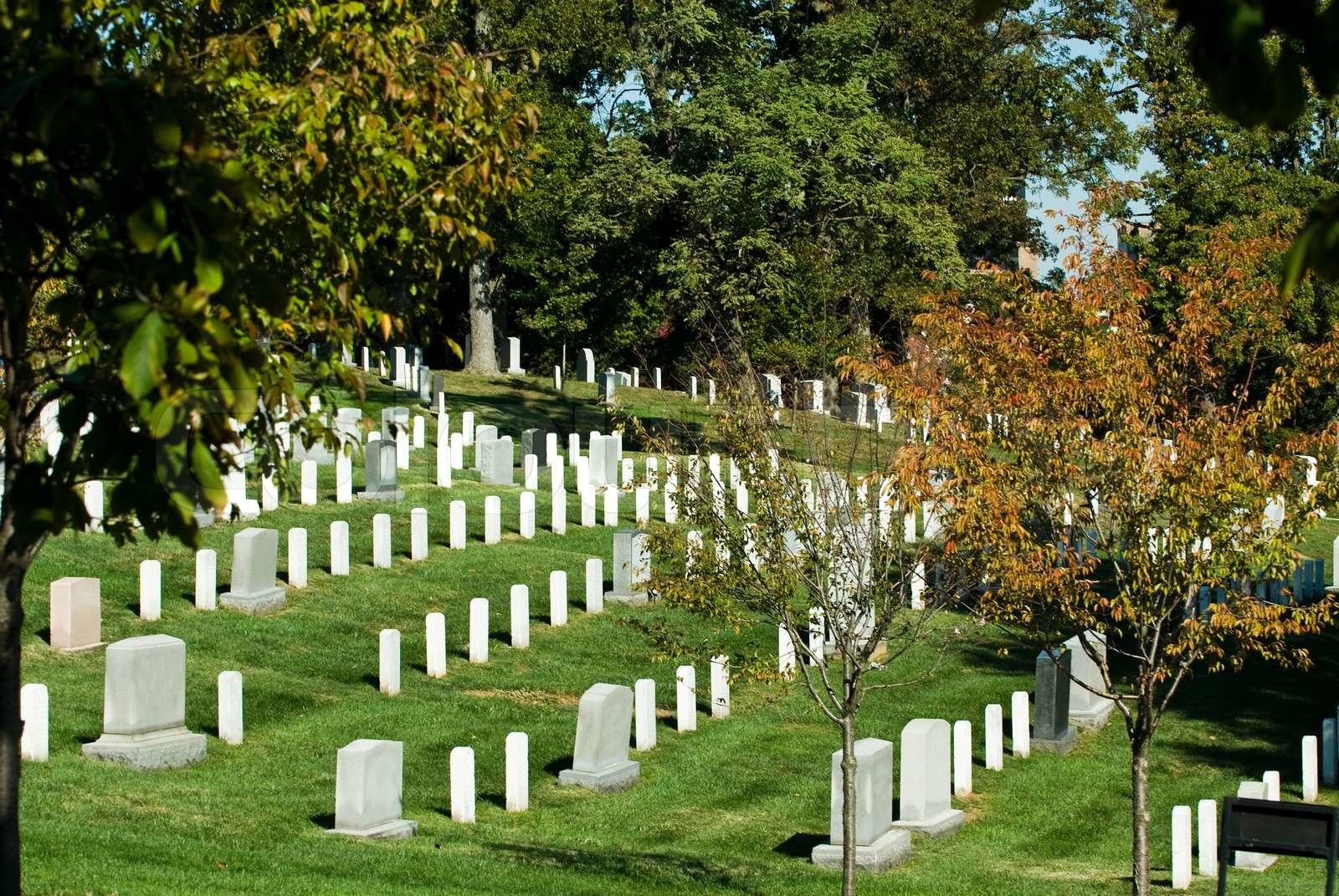 Arlington Cemetery Stock Bild Colourbox