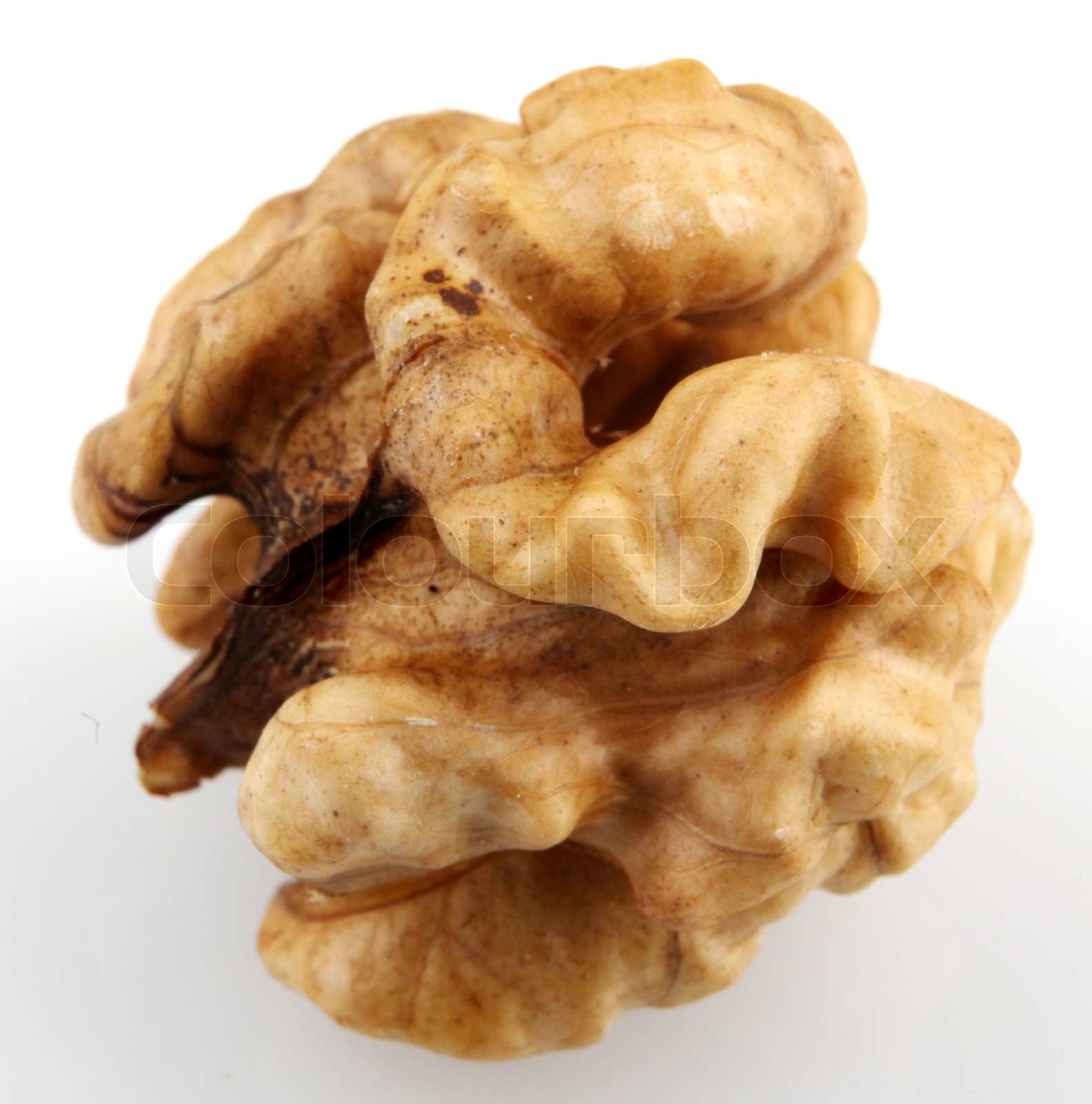 Walnuts Isolated Stock image Colourbox