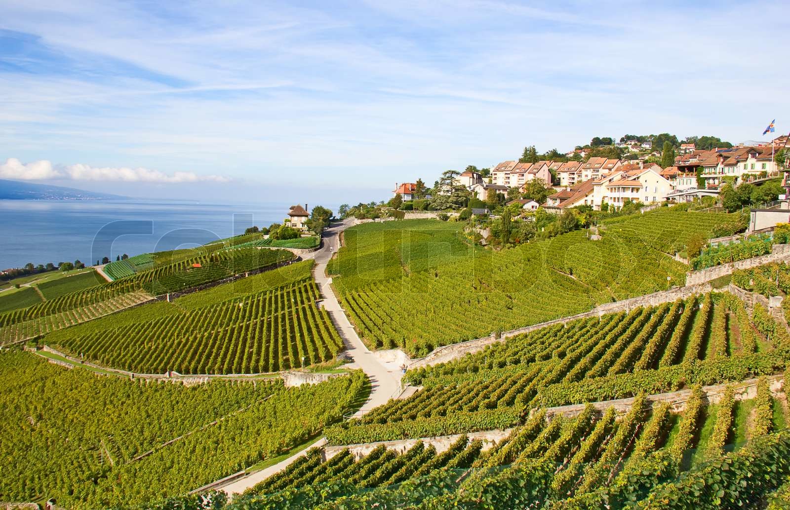 Lavaux Region Stock Bild Colourbox