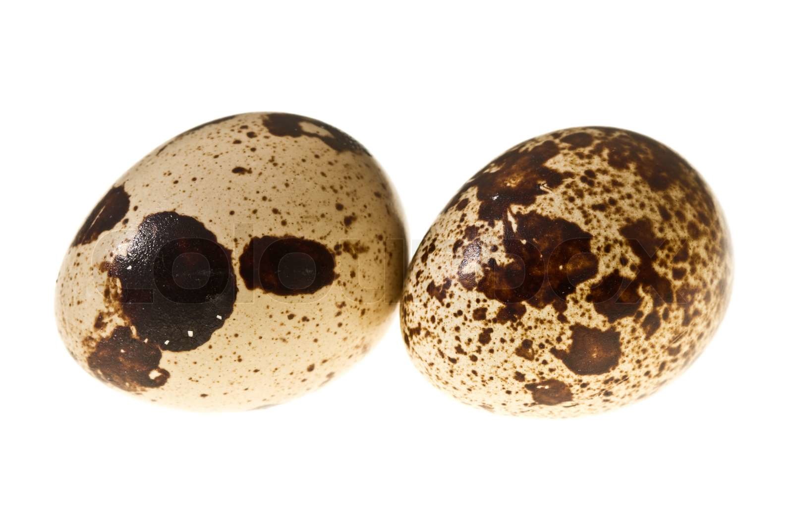 Quail eggs isolated | Stock image | Colourbox