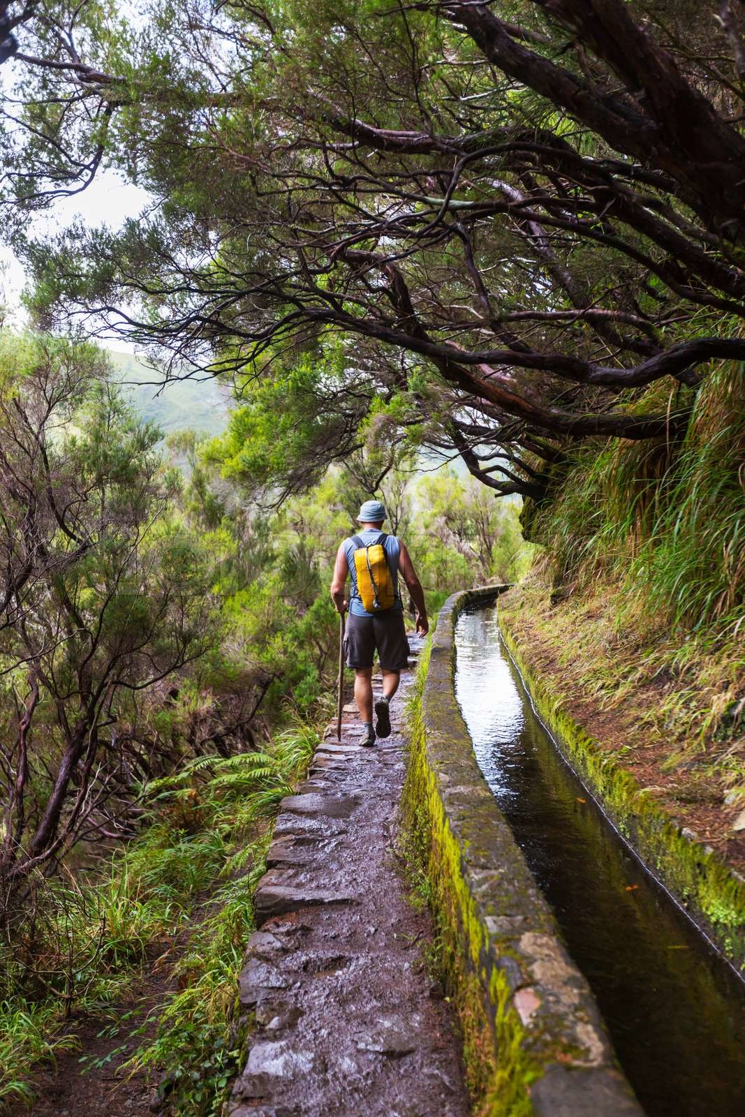 Wandern auf Madeira | Stock Bild | Colourbox