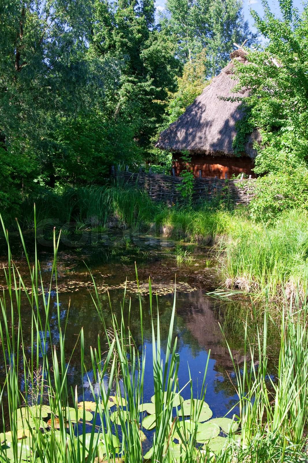 alte Hütte Stock Bild Colourbox