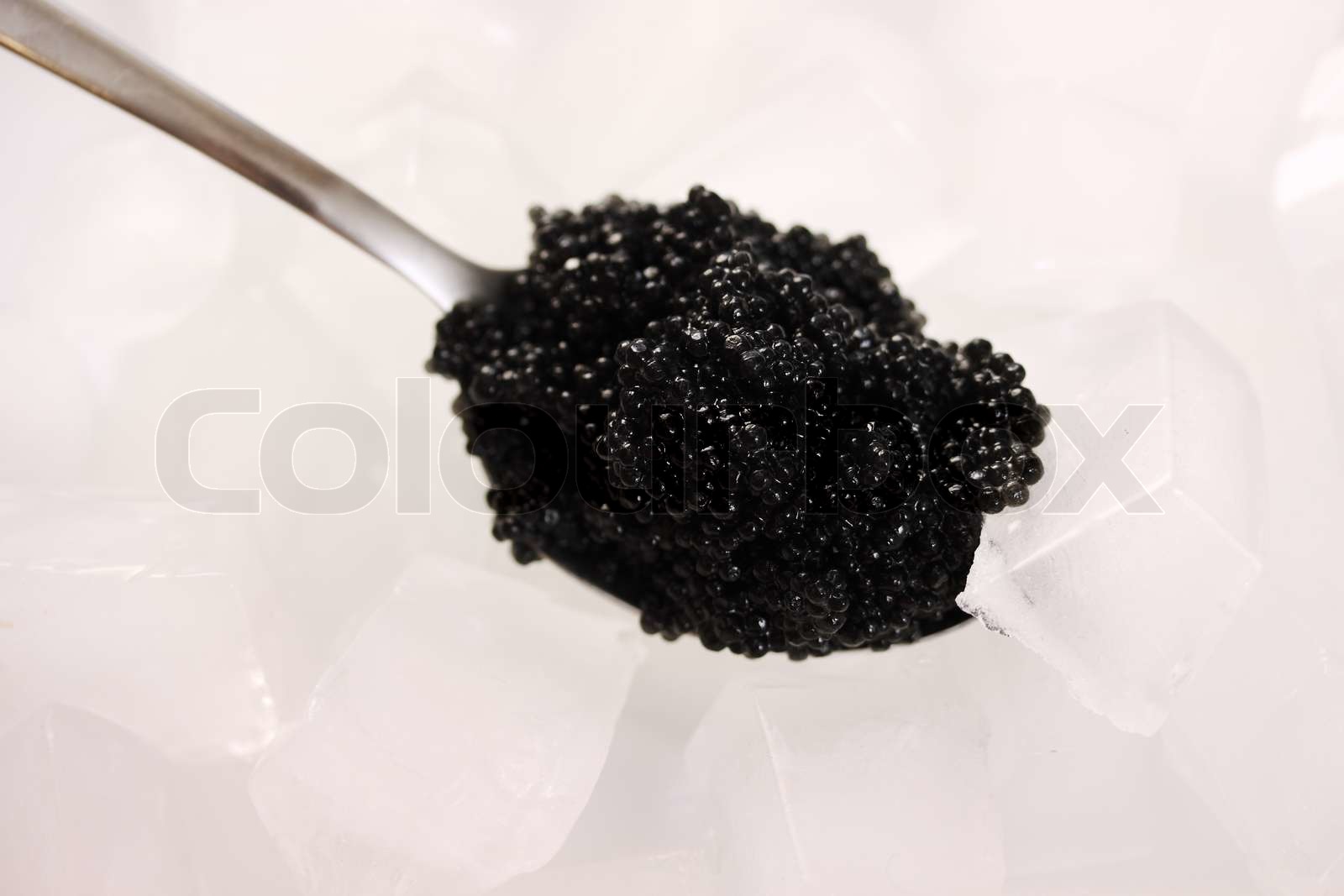 Sort kaviar på is Stock foto Colourbox