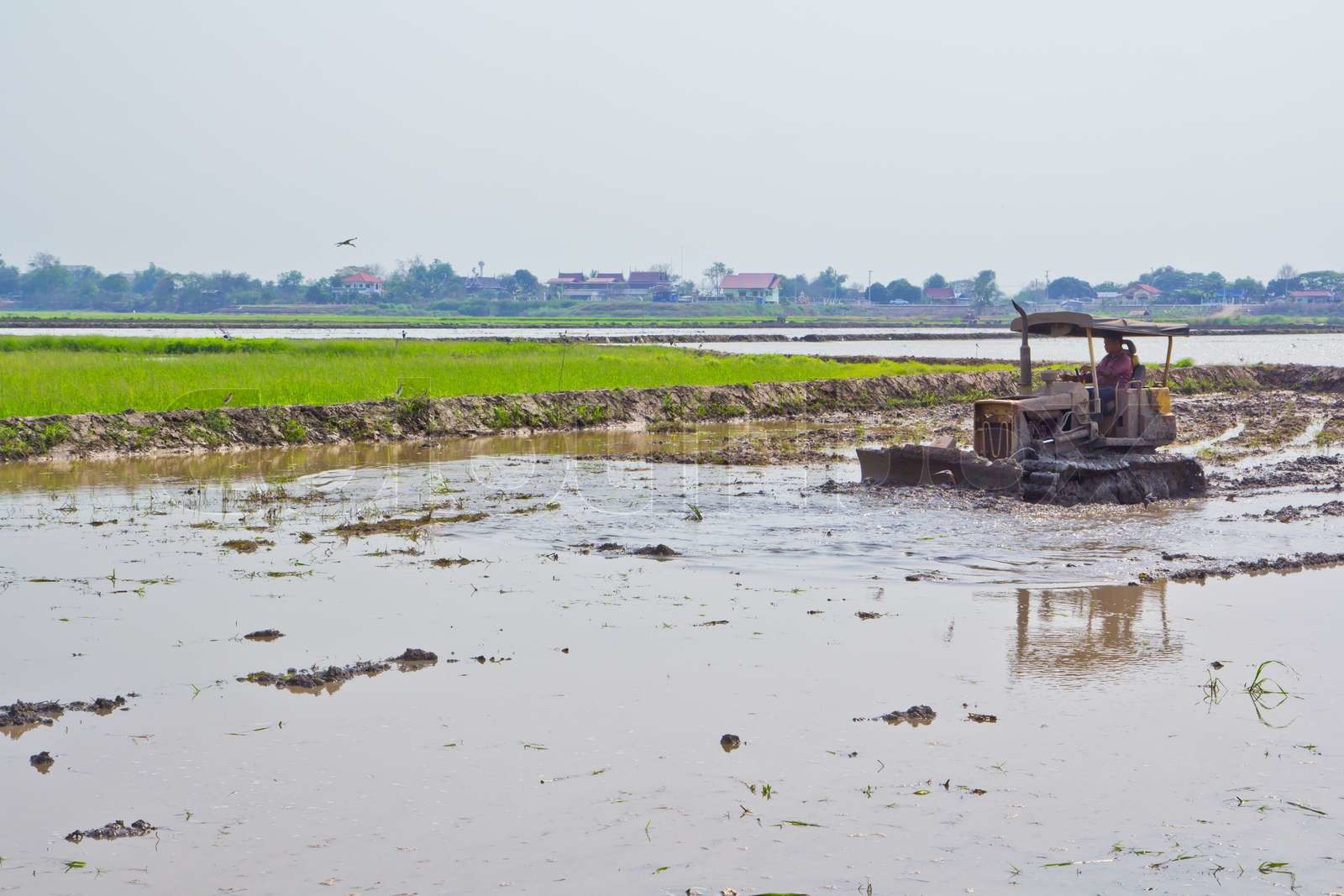 Thai farmers in thailand Stock image Colourbox