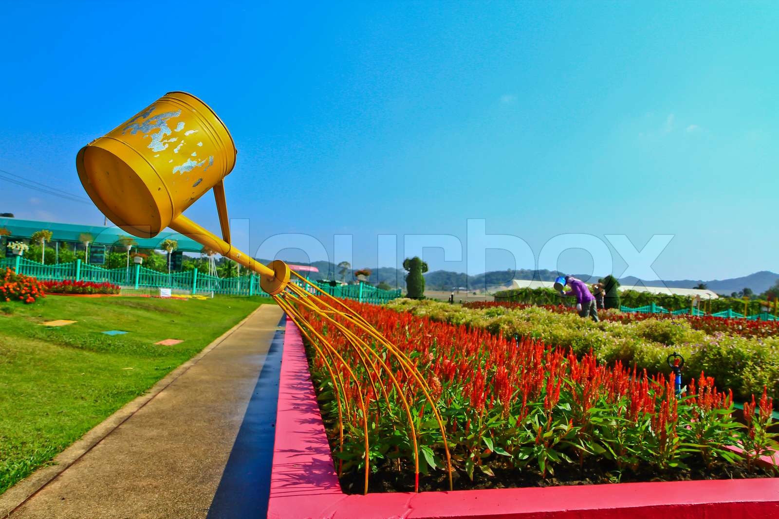 Blumengarten Stock Bild Colourbox