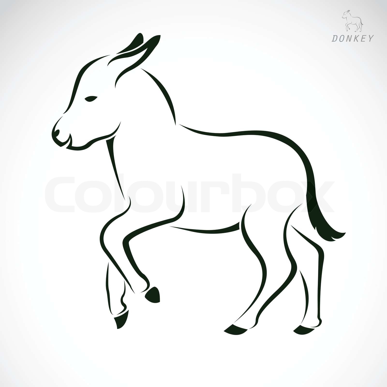 Vector image of an donkey Stock vector Colourbox