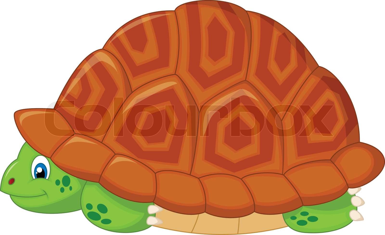 Turtle cartoon hiding in his shell | Stock vector | Colourbox