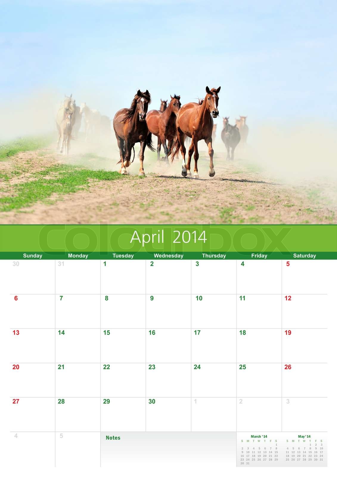 Calendar 2014 Horse April | Stock image | Colourbox