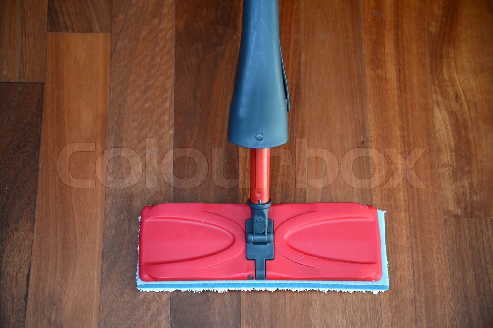 Mop | Stock image | Colourbox