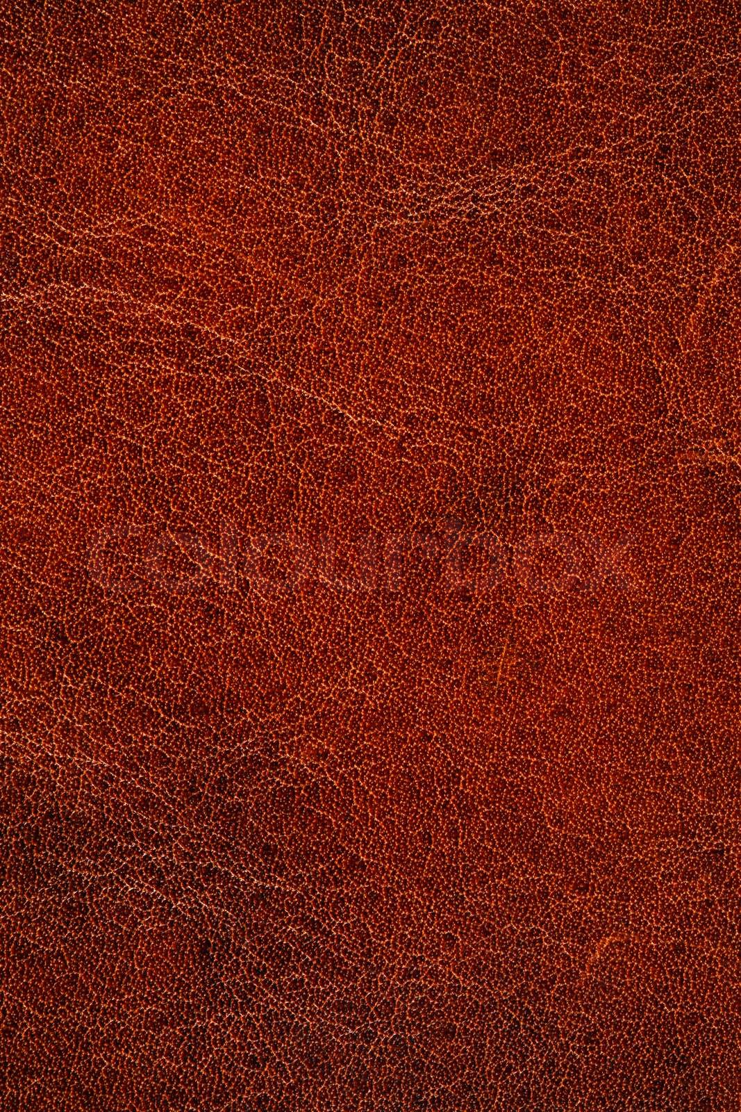 High resolution brown leather texture for background | Stock image ...