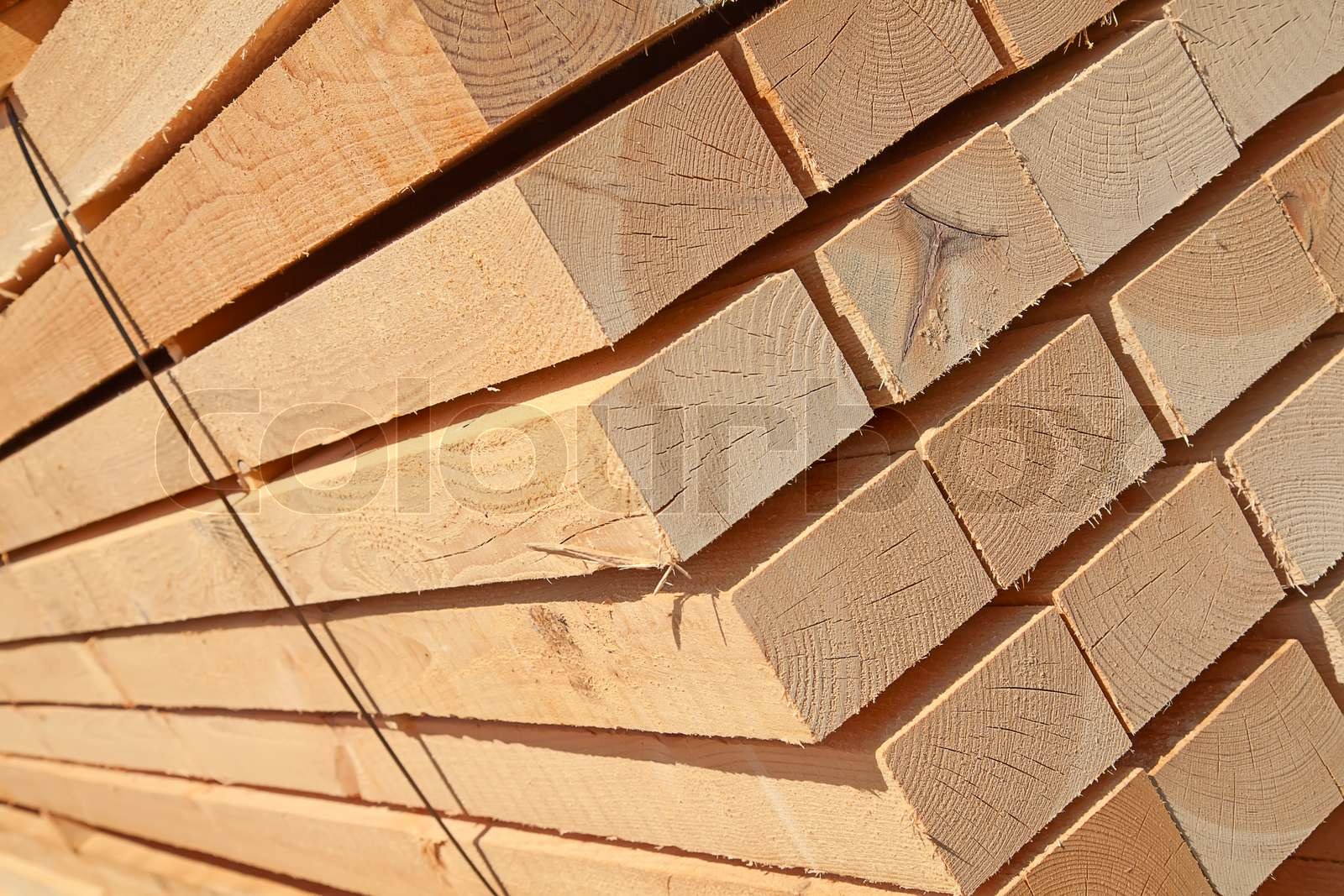 Fresh wooden studs | Stock image | Colourbox