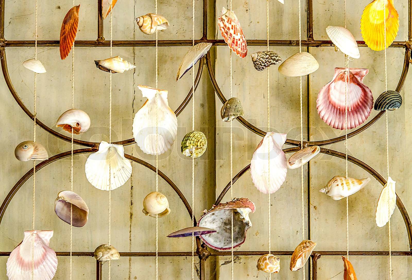 Curtains of Sea shells | Stock image | Colourbox