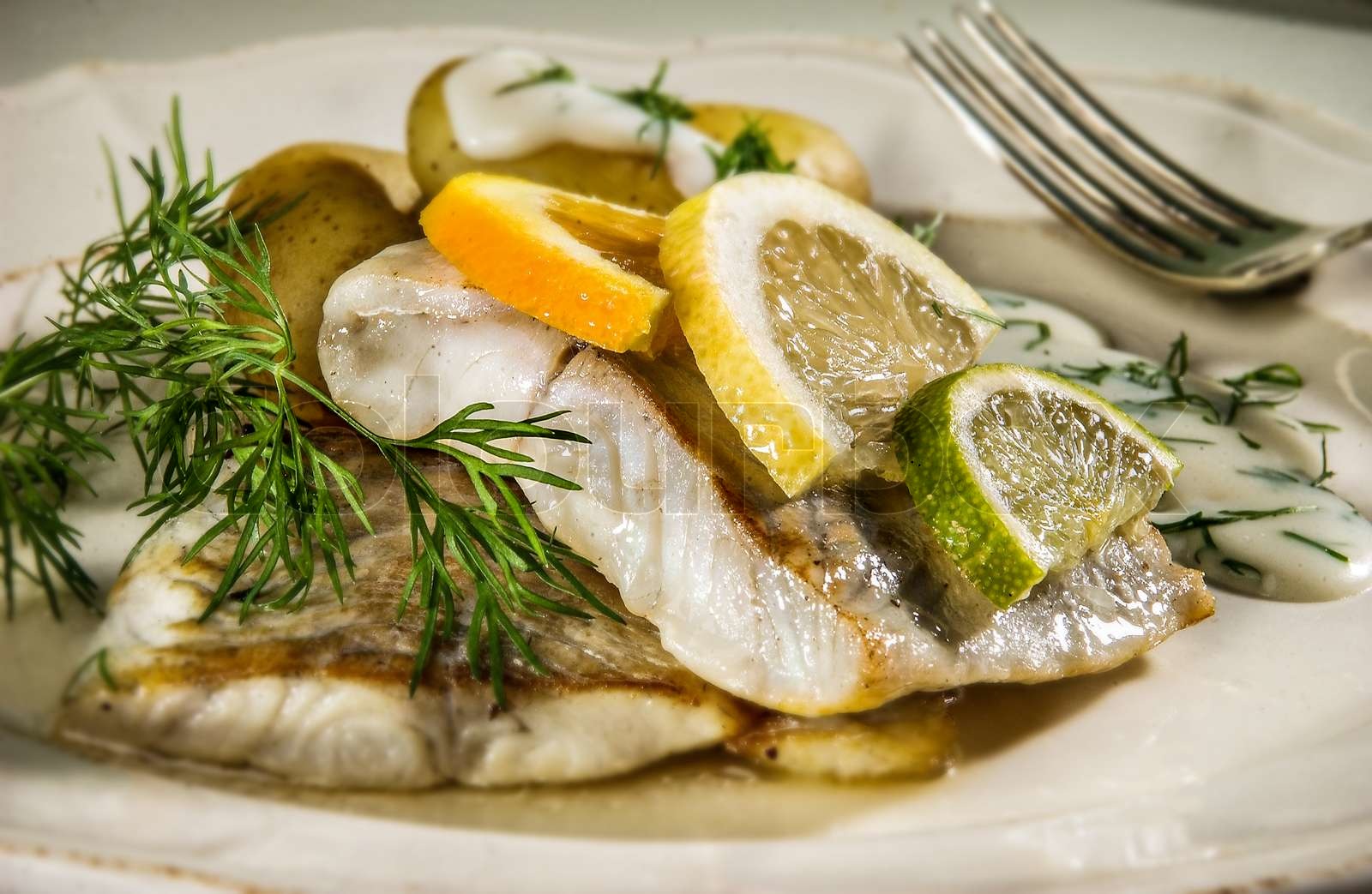 dorsch, fisk, dill | Stock Bild | Colourbox dorsch, fisk, dill | Stock Bild | Colourbox