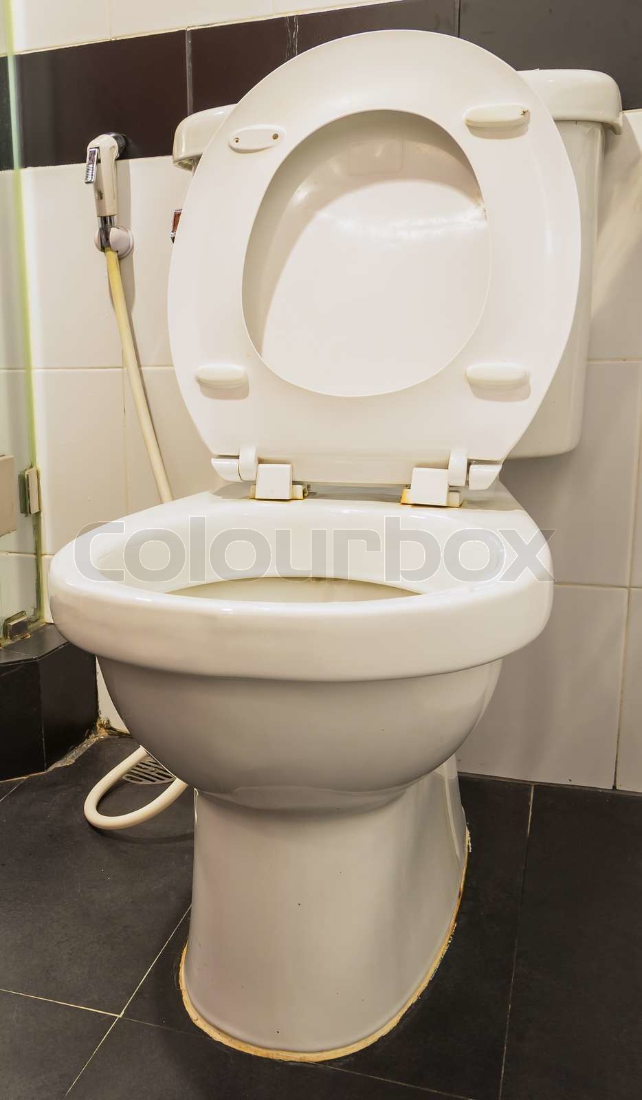 Toilet Stock image Colourbox
