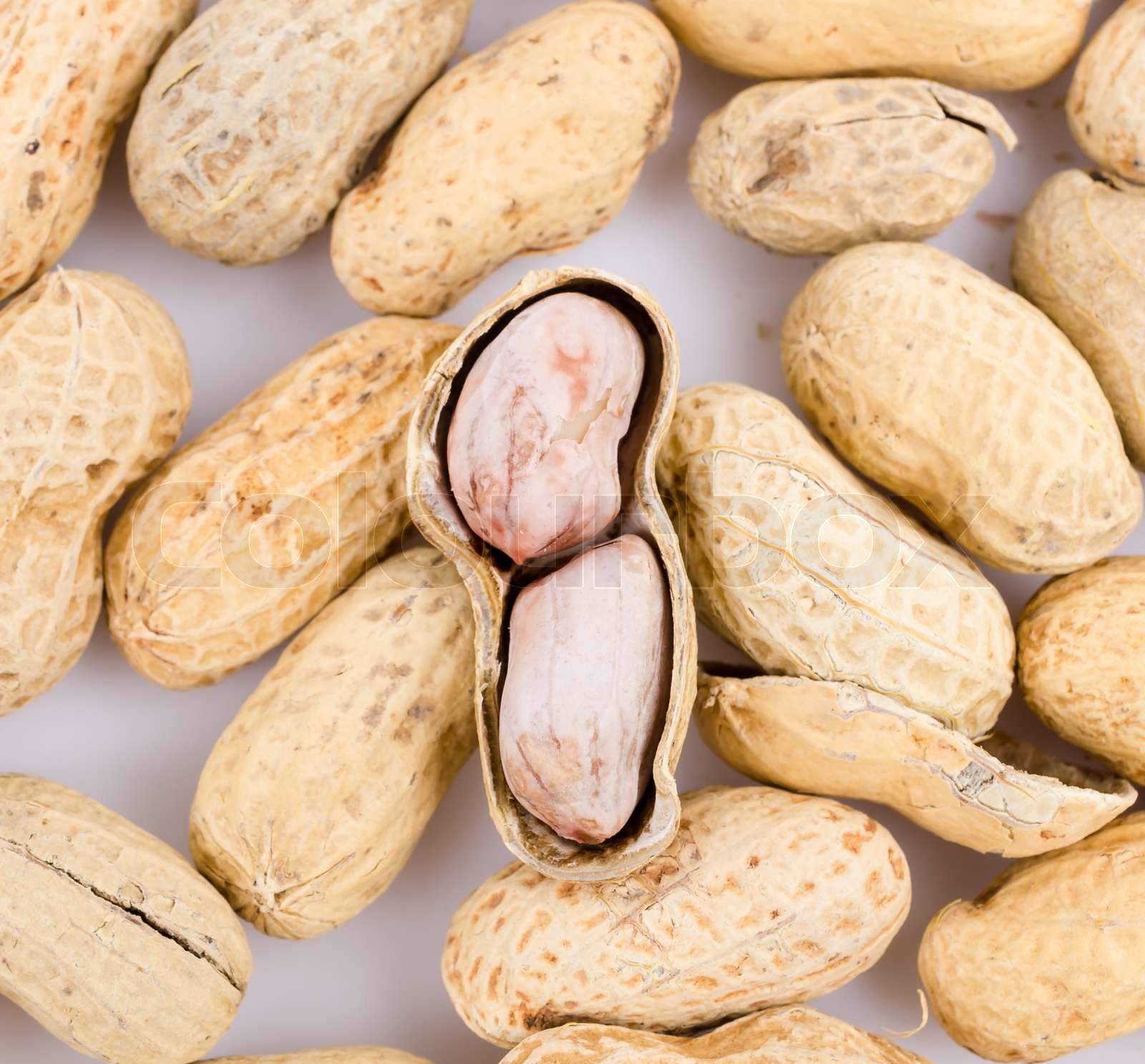 Peanut | Stock image | Colourbox