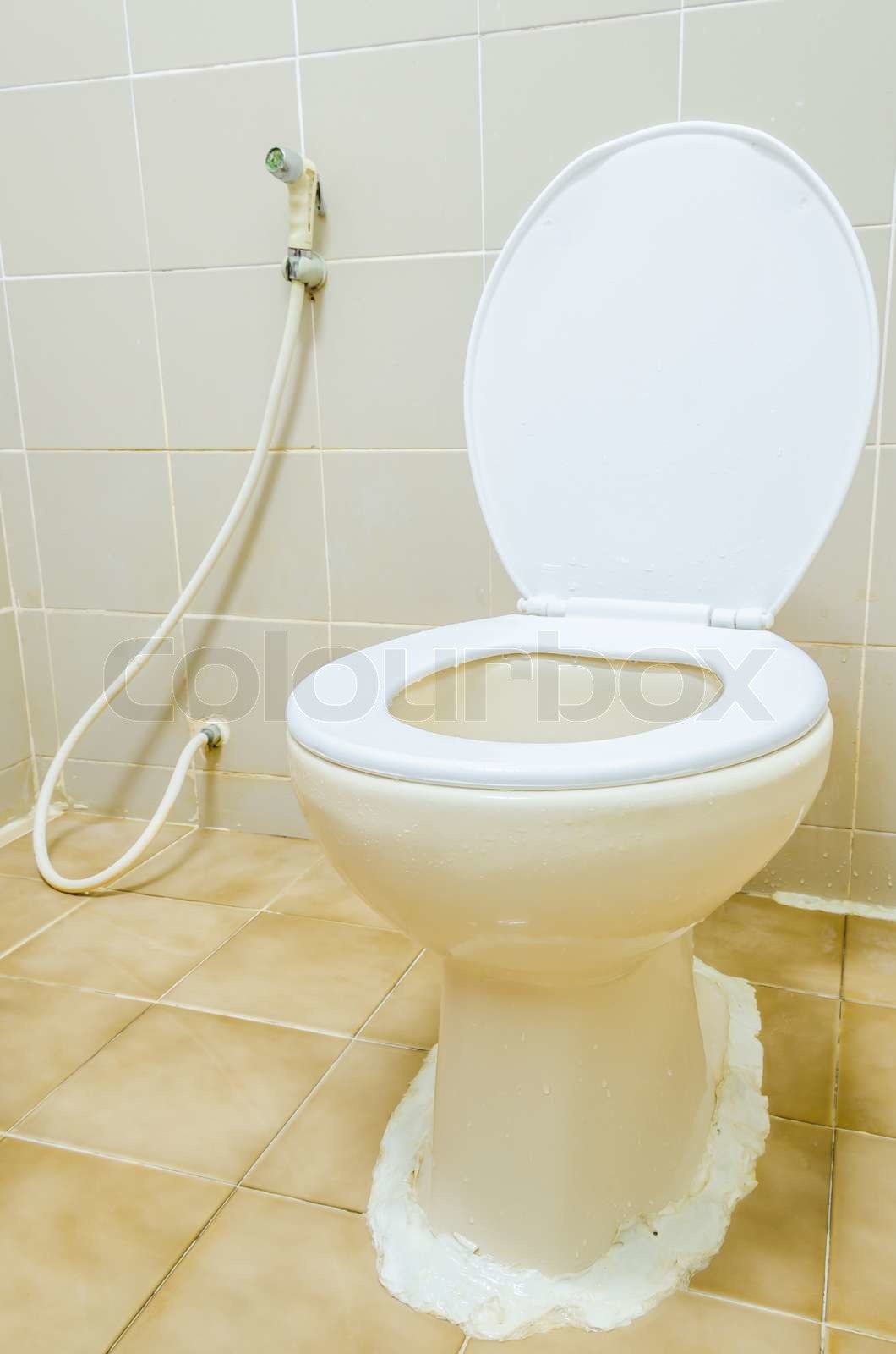 Toilet Stock image Colourbox