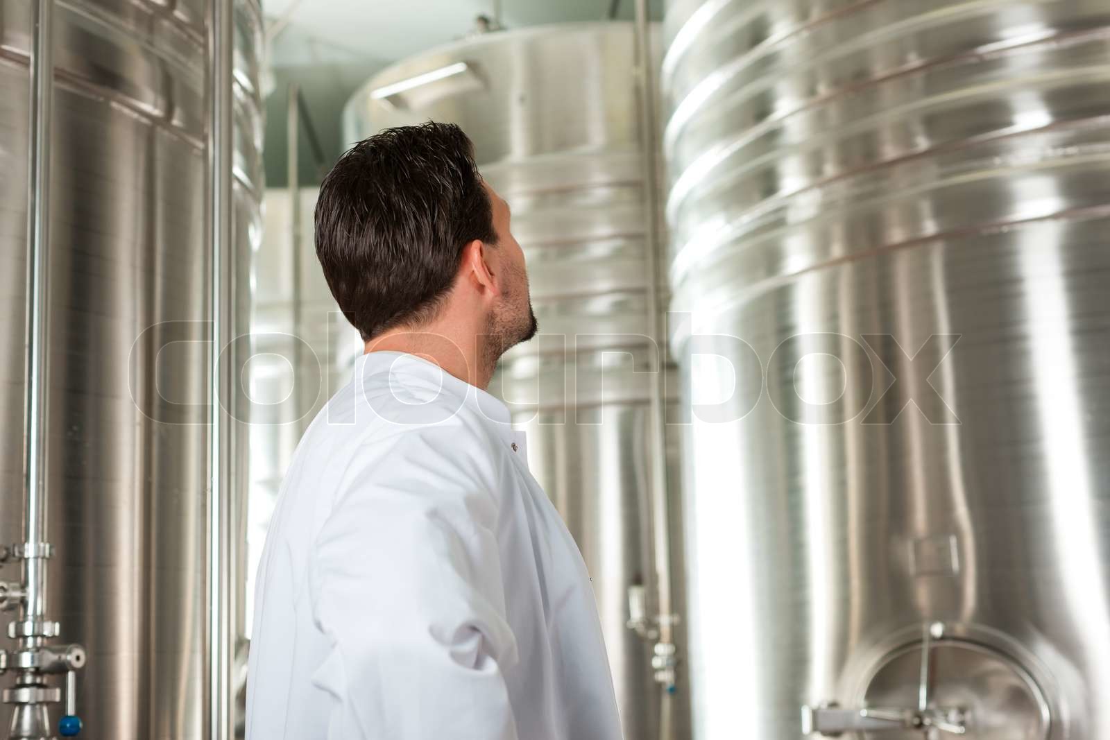 Beer Brewer In His Brewery Stock Image Colourbox