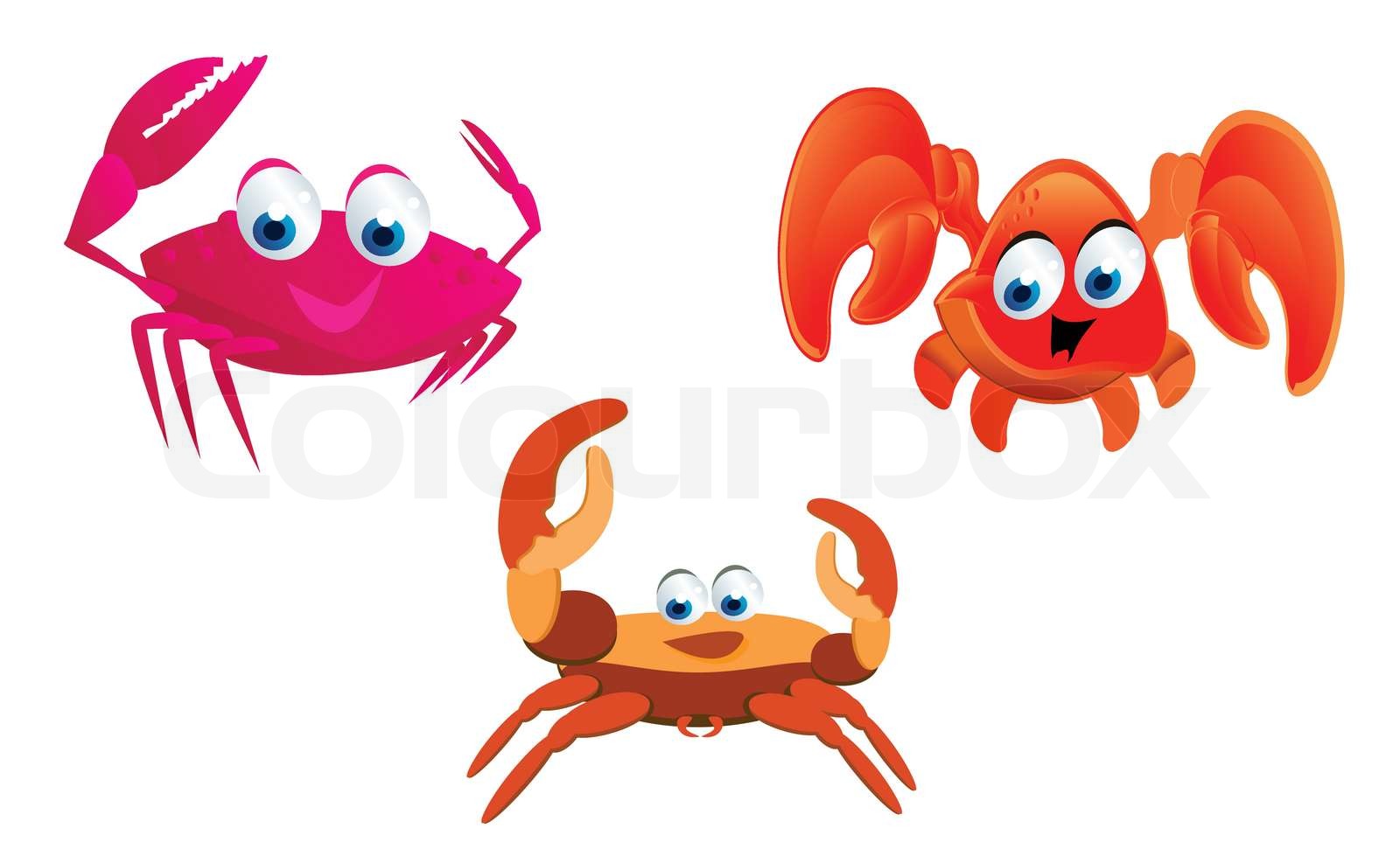 cute crabs cartoon Stock vector Colourbox