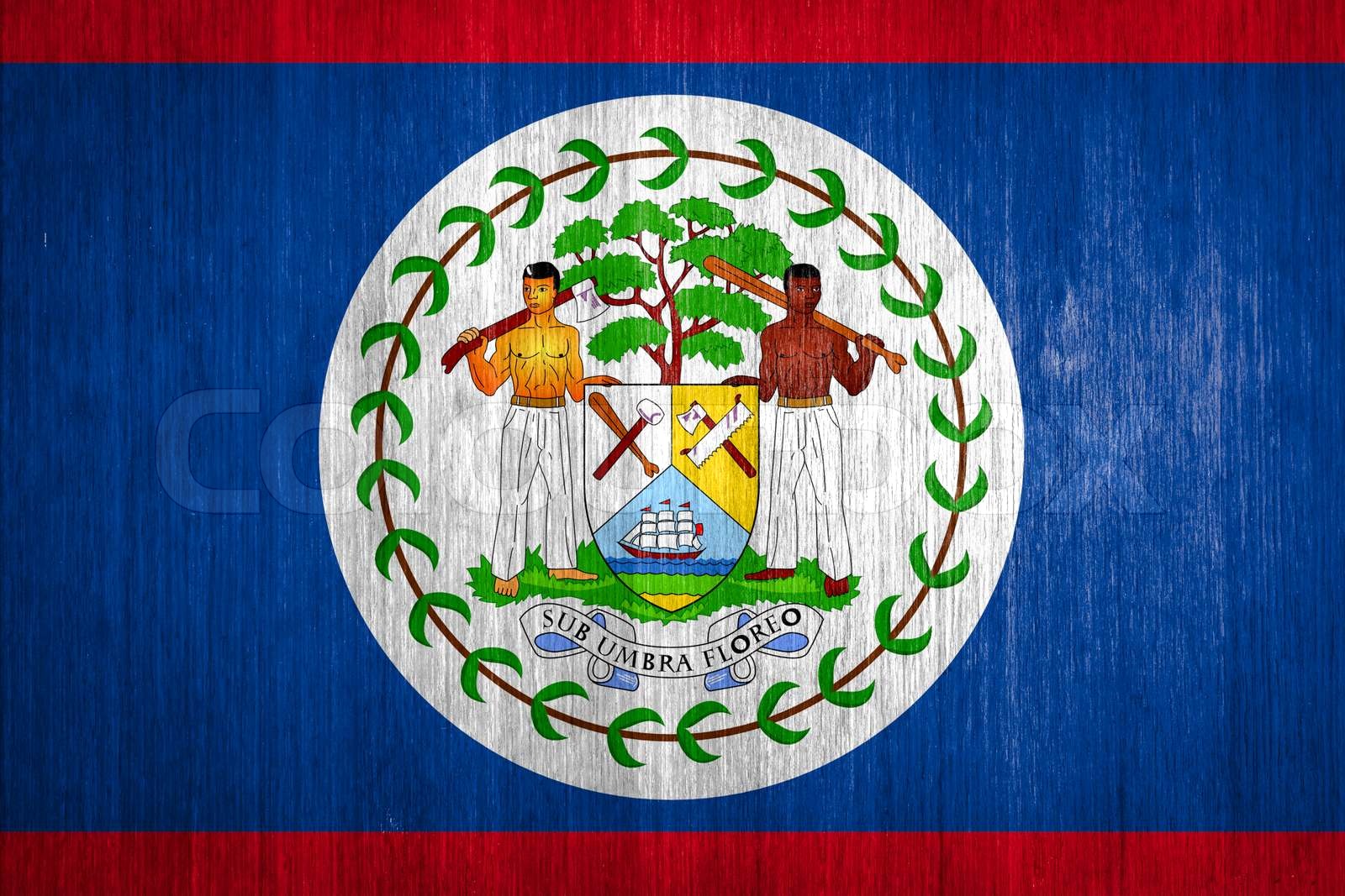 Belize Flagge auf HolzHintergrund Stock Bild Colourbox