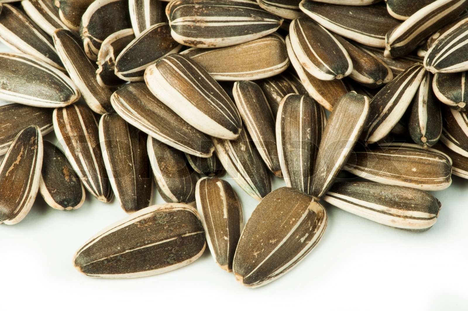 Raw sunflower seed Stock image Colourbox