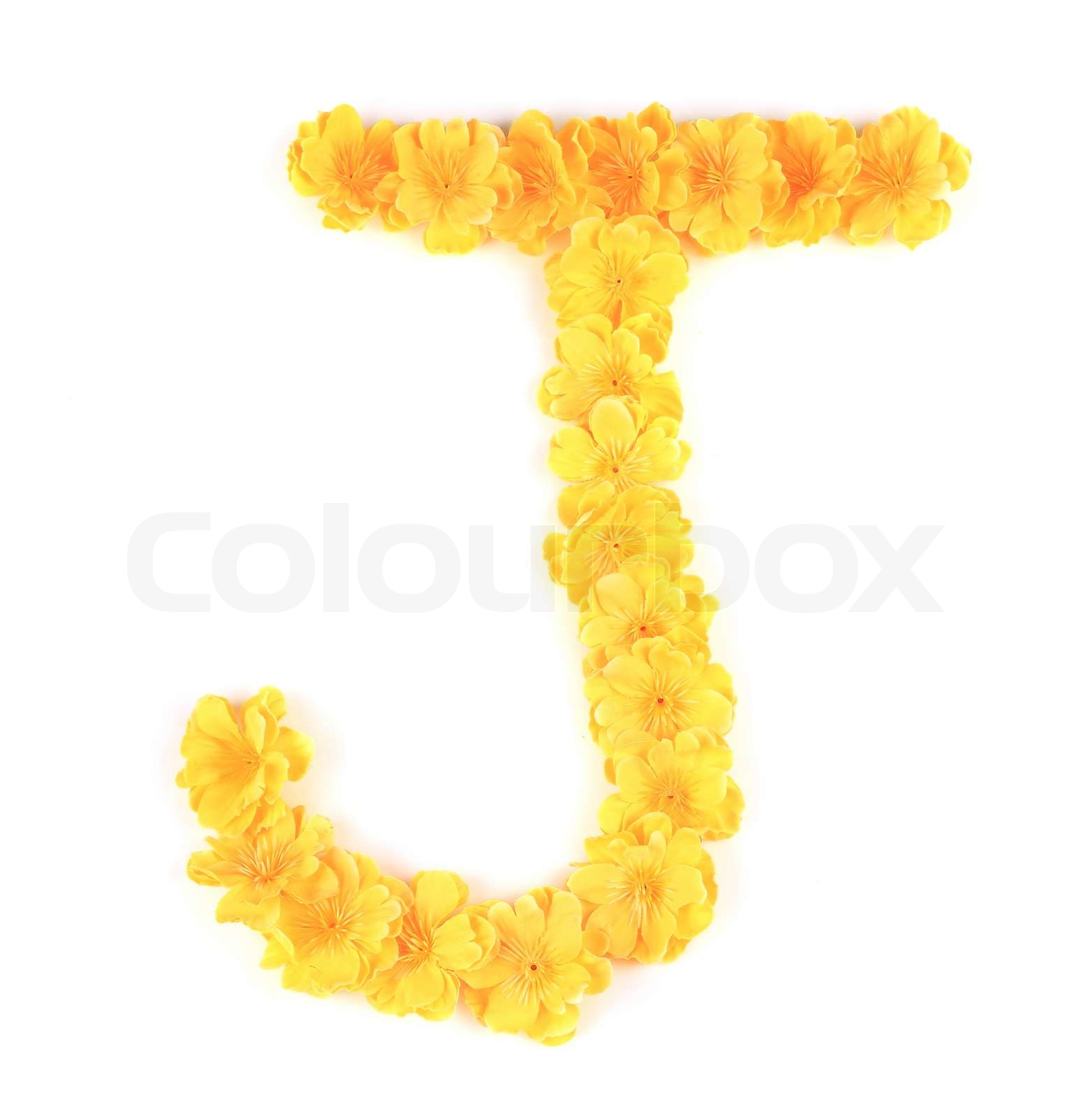 Letter J flower alphabet. Stock image Colourbox