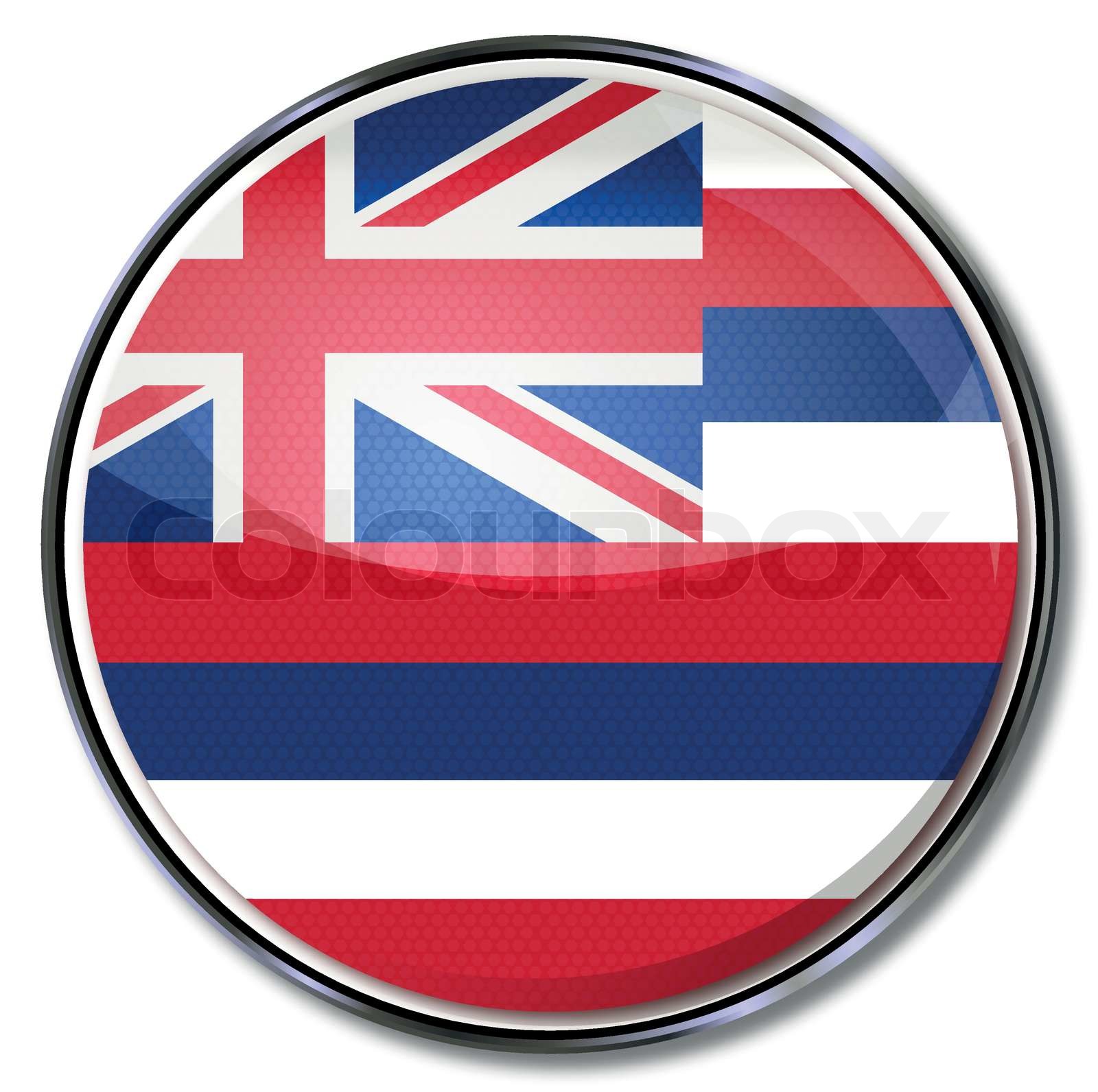 Button Hawaii StockVektor Colourbox